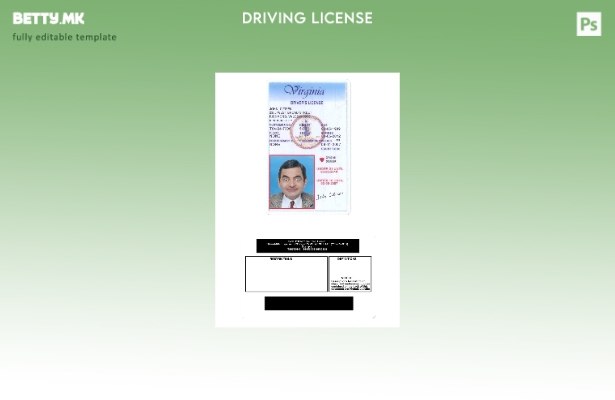 Возачка дозвола во модерен стил САД Вирџинија под шаблон